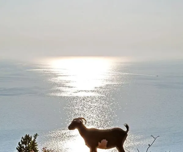 Evangelia Agia Efimia