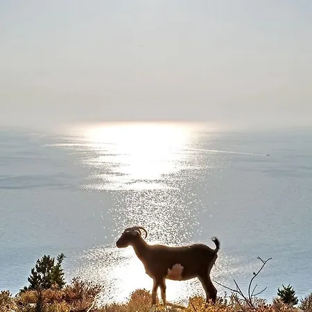 伊瓦格利亚公寓 Agia Efimia