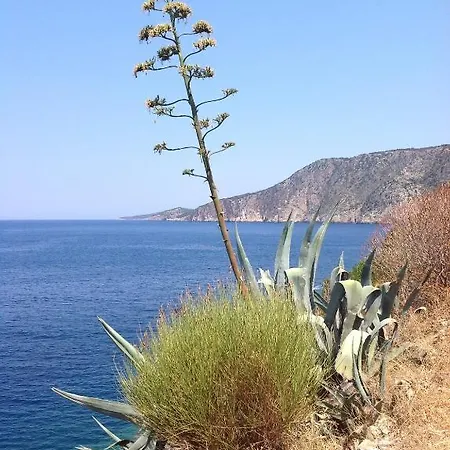 דירה Evangelia איה אפימיה