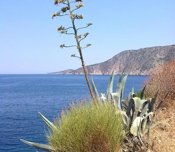 Daire Evangelia Agia Efimia